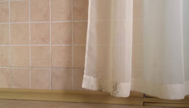 Best Emergency Mold Remediation  in Warren Af, WY
