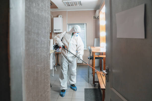 Best HVAC Mold Inspection and Cleaning  in Warren Af, WY