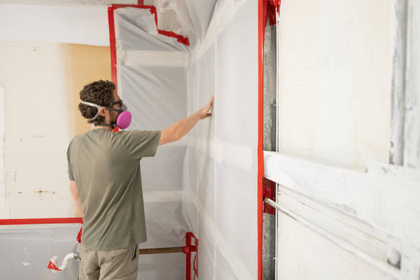 Best Environmental Consulting for Mold Prevention  in Warren Af, WY