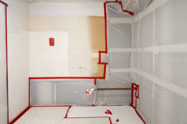 Best Residential Mold Inspection & Testing  in Warren Af, WY