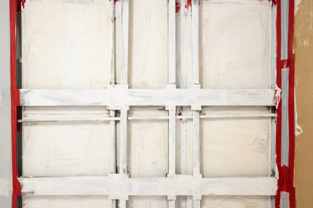 Best Black Mold Removal  in Warren Af, WY