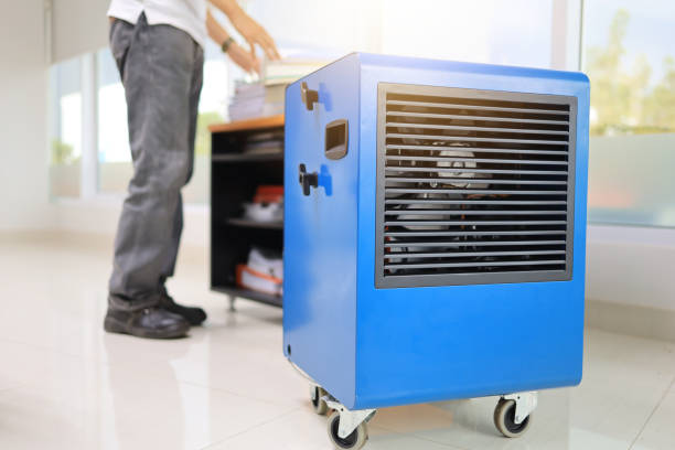 Best Mold Removal for HVAC Installations  in Warren Af, WY