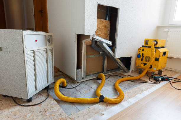 Best Post-Construction Mold Inspection  in Warren Af, WY