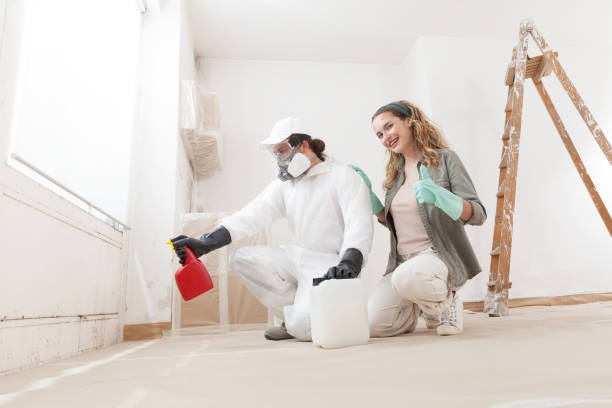 Best Mold Odor Removal Services  in Warren Af, WY