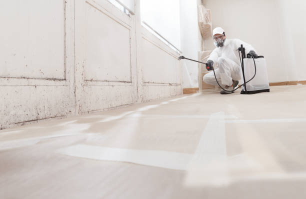 Best Asbestos and Lead Testing During Mold Inspection  in Warren Af, WY